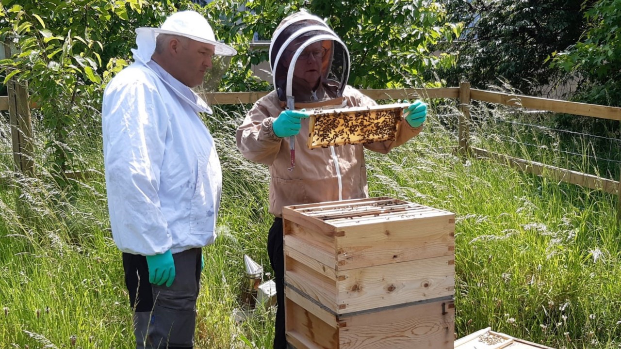 Toyota UK bee keepers at a hive
