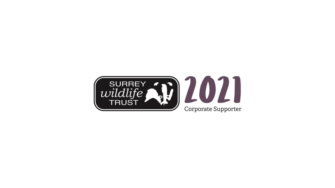 Surrey wildlife trust charity logo