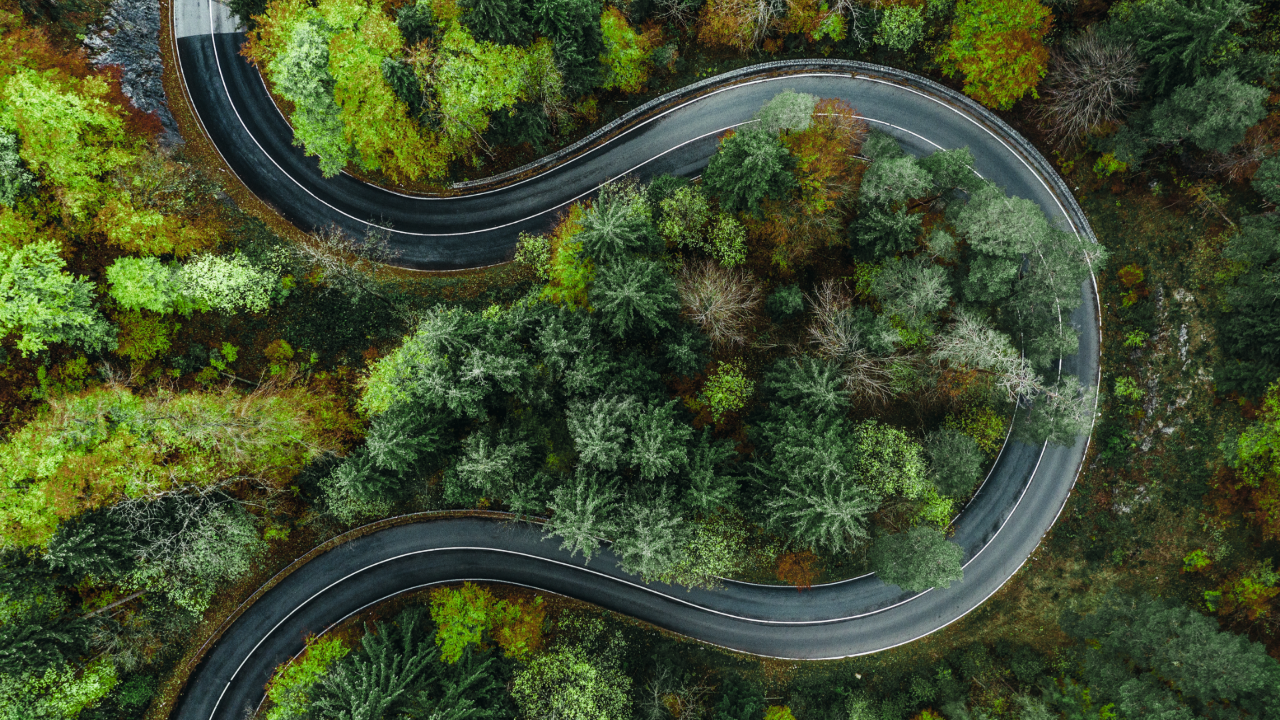 Aerial view of road winding through woods
